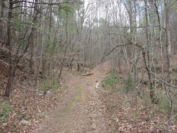 road.jpg