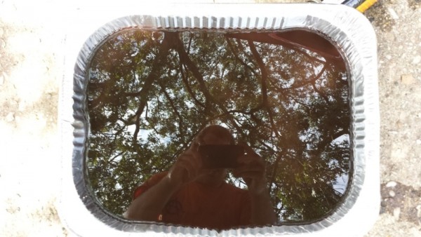 Tranny.jpg (194.93 KiB) Viewed 4792 times Tranny.jpg