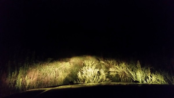 20140829_204138.jpg