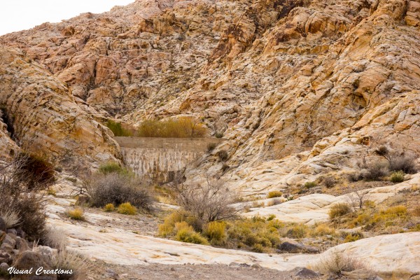 Bitter springs-7.jpg