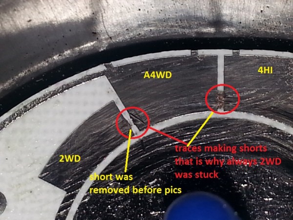 traces short 2.jpg