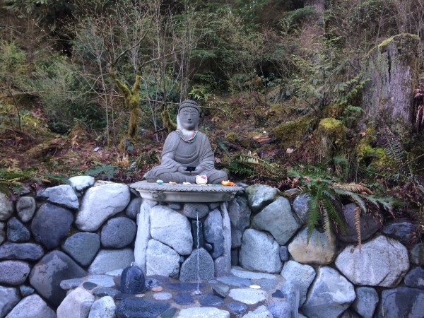 IMG_0436.JPG (3.44 MiB) Viewed 10838 times IMG_0436.JPG